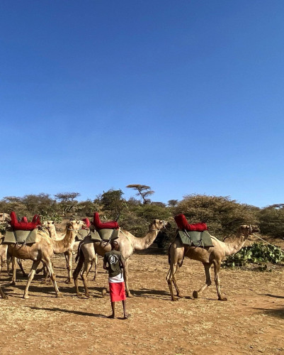 Camel Safari Kenya