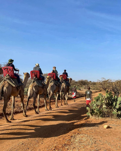 Camel Safari Kenya