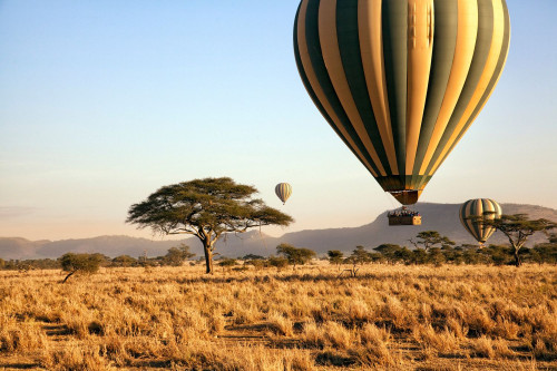 Hot air balloon ride